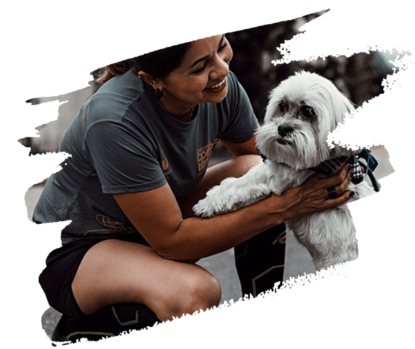 О приюте pet sitting teammate 2