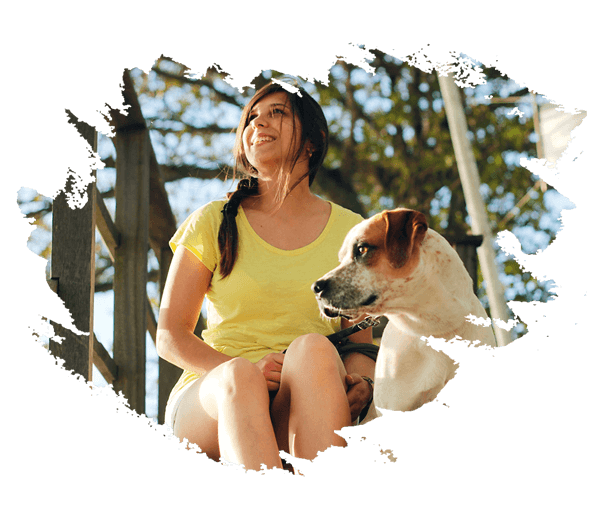 О приюте pet sitting teammate 1