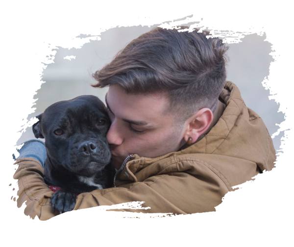 О приюте pet sitting team 1