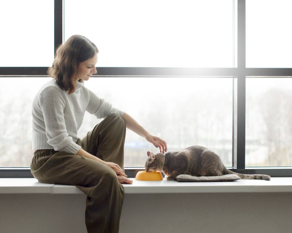 О приюте about1s