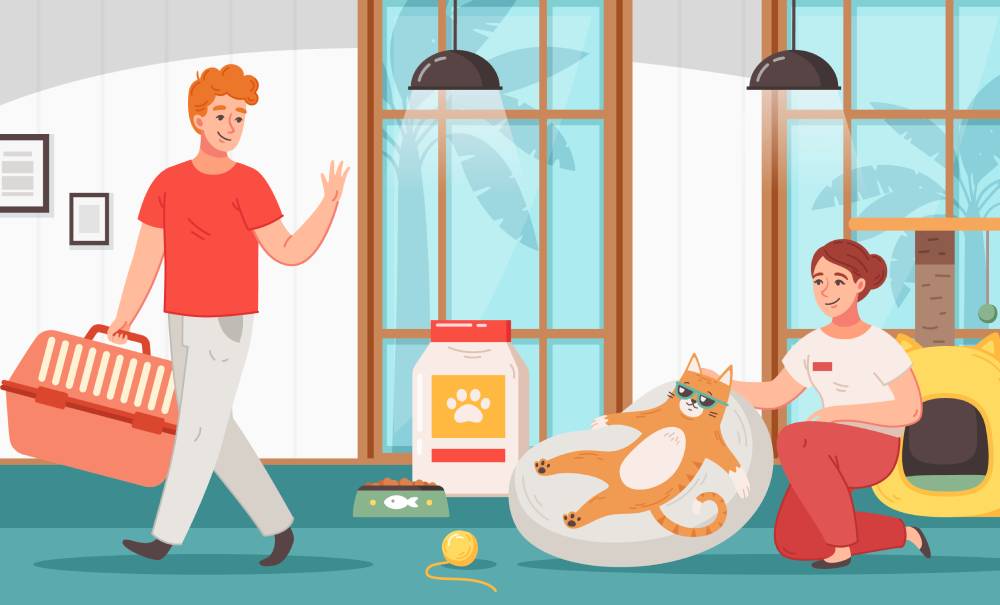 Взять кошку из приюта бесплатно