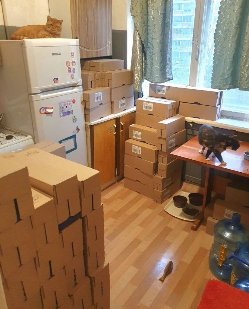 Ноябрь котодетки