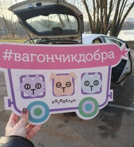 Ноябрь котодетки2