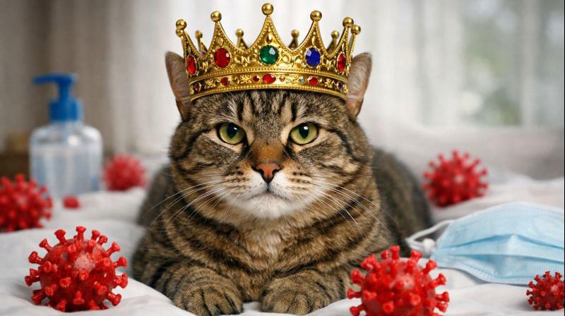 Кошачий коронавирус