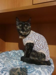 Луиза после стерилизации