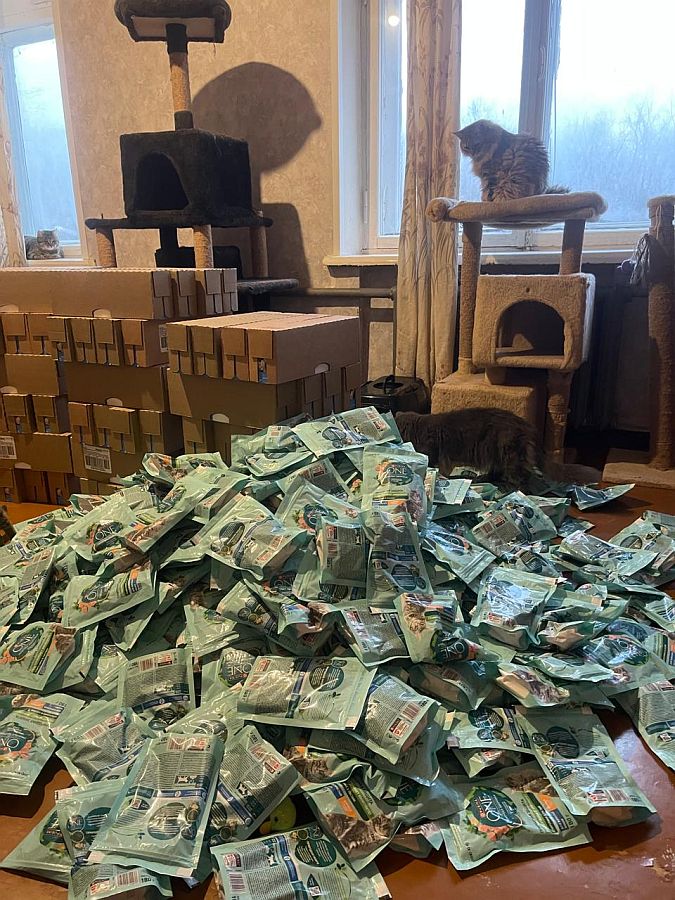 Много корма от Котодеток!