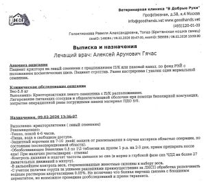 Топаз - выписка