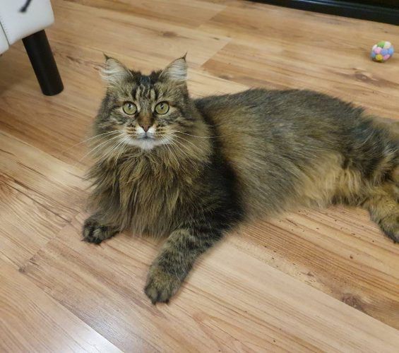 photo 2025 12 23 21 07 18