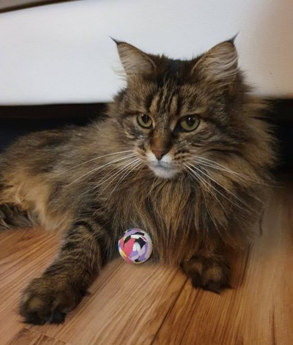 photo 2025 12 23 21 07 21